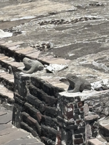 Frogs at the base of Templo Mayor, symbolizing the Aztec deity Tlaloc, god of rain